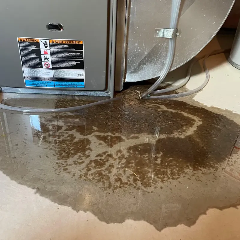 Appliance Leak Cleanup in Caldwell County, NC